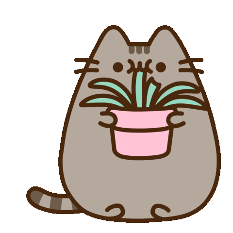 Pusheen Eat Gif